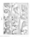 Fig. 07 - ISOLATION OF NON-EMBRYONIC STEM CELLS AND USES THEREOF