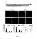Fig. 11 - Methods for obtaining retinal progenitors, retinal pigmented epithelial cells and neural retinal cells