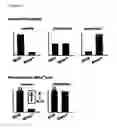 Fig. 04 - Means and methods for influencing the stability of antibody producing cells