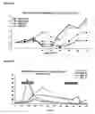 Fig. 06 - Means and methods for influencing the stability of antibody producing cells