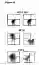 Fig. 16 - Means and methods for influencing the stability of antibody producing cells