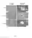 Fig. 03 - DENDRITIC CELL TUMOR VACCINE AND METHOD FOR PREPARING THE SAME