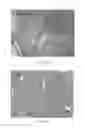 Fig. 05 - DENDRITIC CELL TUMOR VACCINE AND METHOD FOR PREPARING THE SAME
