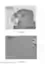 Fig. 06 - DENDRITIC CELL TUMOR VACCINE AND METHOD FOR PREPARING THE SAME
