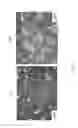 Fig. 09 - DENDRITIC CELL TUMOR VACCINE AND METHOD FOR PREPARING THE SAME