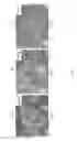 Fig. 10 - DENDRITIC CELL TUMOR VACCINE AND METHOD FOR PREPARING THE SAME