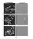 Fig. 10 - FUSION MIXTURE