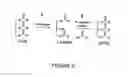 Fig. 07 - Hydrolases, nucleic acids encoding them and methods for making and using them