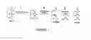 Fig. 08 - Hydrolases, nucleic acids encoding them and methods for making and using them
