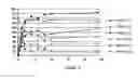 Fig. 13 - Hydrolases, nucleic acids encoding them and methods for making and using them