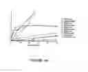 Fig. 19 - Hydrolases, nucleic acids encoding them and methods for making and using them