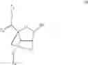 Fig. 07 - MODULATION OF ANGIOPOIETIN-LIKE 3 EXPRESSION