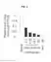 Fig. 07 - Pharmaceutical Composition for Inhibition of Disease-inducing microRNAs