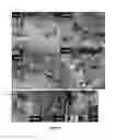 Fig. 22 - Down-regulating gene expression in insect pests