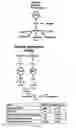 Fig. 08 - Recombinant microorganisms having a methanol elongation cycle (MEC)