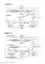 Fig. 02 - Precursor-directed biosynthesis of 5-hydroxytryptophan