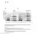 Fig. 09 - Coryneform bacterium and method for producing heterologous fusion proteins