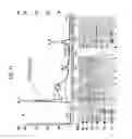 Fig. 10 - Coryneform bacterium and method for producing heterologous fusion proteins