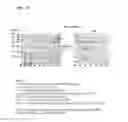 Fig. 17 - Coryneform bacterium and method for producing heterologous fusion proteins
