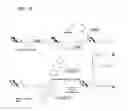 Fig. 31 - Coryneform bacterium and method for producing heterologous fusion proteins