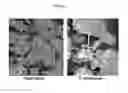 Fig. 06 - System for expression of genes in plants