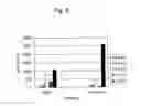 Fig. 10 - MICROVESICLE AND METHOD FOR PRODUCING THE SAME