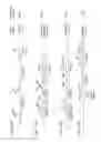 Fig. 11 - MICROVESICLE AND METHOD FOR PRODUCING THE SAME