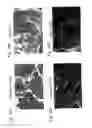 Fig. 20 - MICROVESICLE AND METHOD FOR PRODUCING THE SAME
