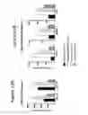 Fig. 16 - Method of treating mucopolysaccharidosis type I or II