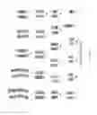 Fig. 05 - METHODS AND COMPOSITIONS FOR THE TARGETED MODIFICATION OF A GENOME