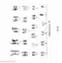 Fig. 07 - METHODS AND COMPOSITIONS FOR THE TARGETED MODIFICATION OF A GENOME