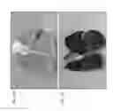 Fig. 19 - METHODS AND COMPOSITIONS FOR THE TARGETED MODIFICATION OF A GENOME