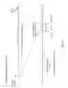 Fig. 49 - METHODS AND COMPOSITIONS FOR THE TARGETED MODIFICATION OF A GENOME