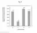 Fig. 07 - GLUCOSE PRODUCTION METHOD AND GLUCOSE PRODUCED BY SAID METHOD