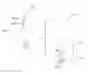 Fig. 01 - Method and device for polymerase chain reaction