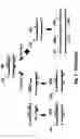 Fig. 03 - Nucleic acid amplification