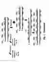 Fig. 04 - Nucleic acid amplification