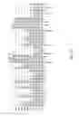 Fig. 03 - RAPID SALMONELLA SEROTYPING ASSAY
