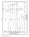 Fig. 03 - USE OF PROBES FOR MASS SPECTROMETRIC IDENTIFICATION OF MICROORGANISMS OR CELLS AND ASSOCIATED CONDITIONS OF INTEREST