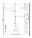 Fig. 04 - USE OF PROBES FOR MASS SPECTROMETRIC IDENTIFICATION OF MICROORGANISMS OR CELLS AND ASSOCIATED CONDITIONS OF INTEREST