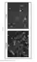 Fig. 07 - USE OF PROBES FOR MASS SPECTROMETRIC IDENTIFICATION OF MICROORGANISMS OR CELLS AND ASSOCIATED CONDITIONS OF INTEREST