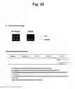 Fig. 28 - Detection of target nucleic acid sequence by PTO cleavage and extension-dependent non-hybridization assay