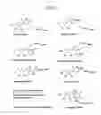 Fig. 02 - Labelled nucleotides
