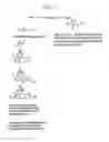 Fig. 04 - Labelled nucleotides
