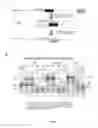 Fig. 07 - Compositions and methods for intramolecular nucleic acid rearrangement