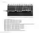 Fig. 07 - Method and kit for multiplex DNA typing of HLA gene