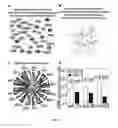 Fig. 06 - Compositions and Methods for Evaluating Heart Failure