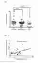 Fig. 09 - Simple detection method for RNA modification, and method for detecting type-II diabetes using said detection method