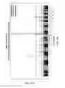 Fig. 34 - Methods for predicting risk of interstitial pneumonia