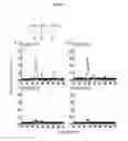 Fig. 06 - HAPLOTYPE DETECTION